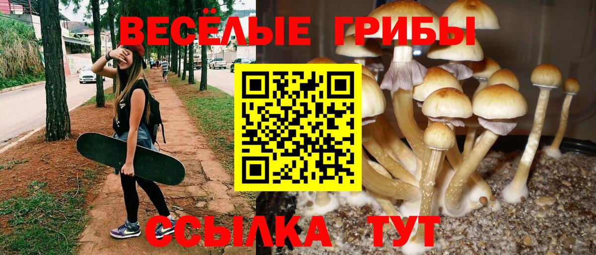 Лабытнанги  Псилоцибиновые грибы Cubensis  Галлюциногенные грибы ЛСД  Вход с VPN 